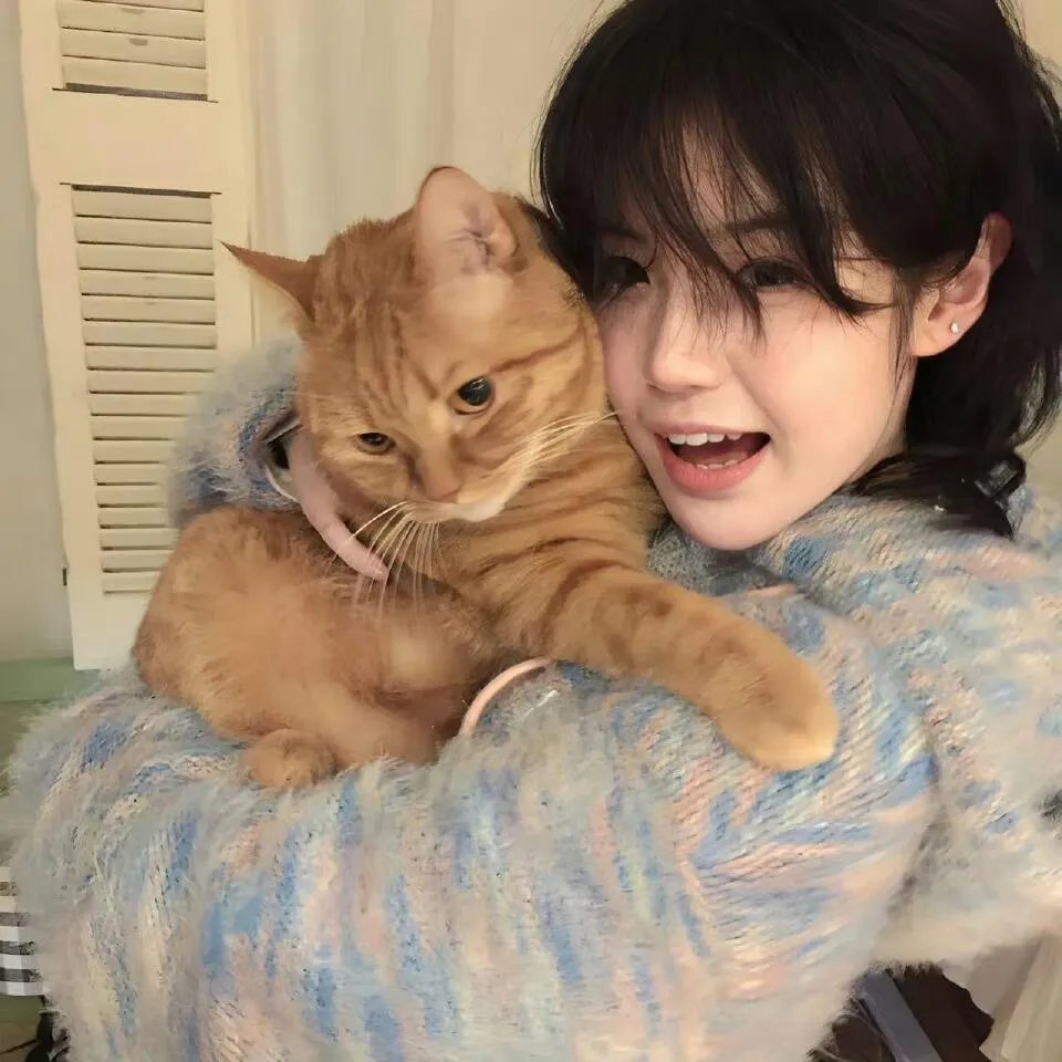 玩命关头：特别行动